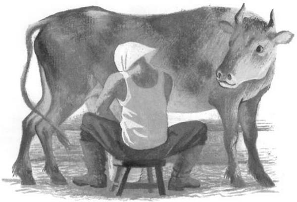 Иллюстрация к книге — Василий Белов. Рассказы о всякой живности [i_050.jpg]