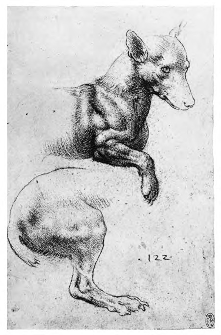 Иллюстрация к книге — Впереди веков. Историческая повесть из жизни Леонардо да Винчи [i_008.jpg]