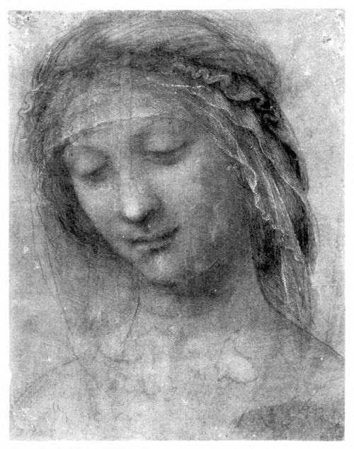 Иллюстрация к книге — Впереди веков. Историческая повесть из жизни Леонардо да Винчи [i_013.jpg]