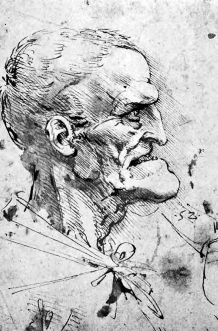 Иллюстрация к книге — Впереди веков. Историческая повесть из жизни Леонардо да Винчи [i_019.jpg]