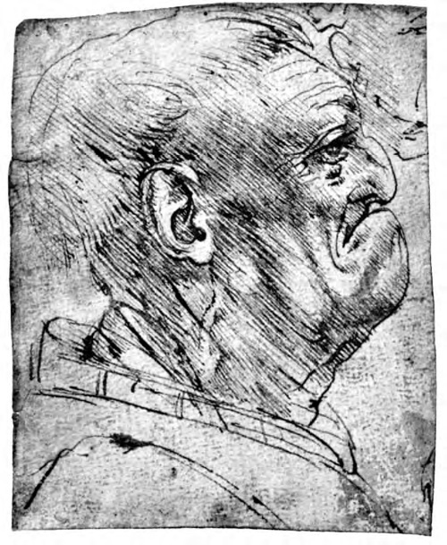 Иллюстрация к книге — Впереди веков. Историческая повесть из жизни Леонардо да Винчи [i_025.jpg]