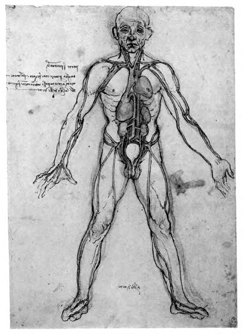 Иллюстрация к книге — Впереди веков. Историческая повесть из жизни Леонардо да Винчи [i_029.jpg]