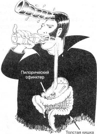 Иллюстрация к книге — 36,6 градусов. Искусство оставаться в живых! [_109.jpg]