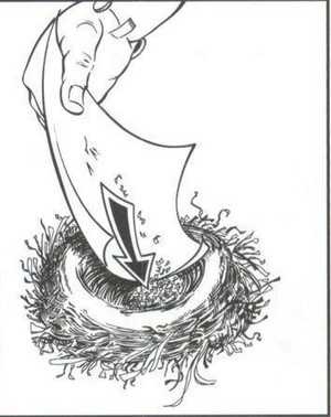 Иллюстрация к книге — 36,6 градусов. Искусство оставаться в живых! [_1420.jpg]