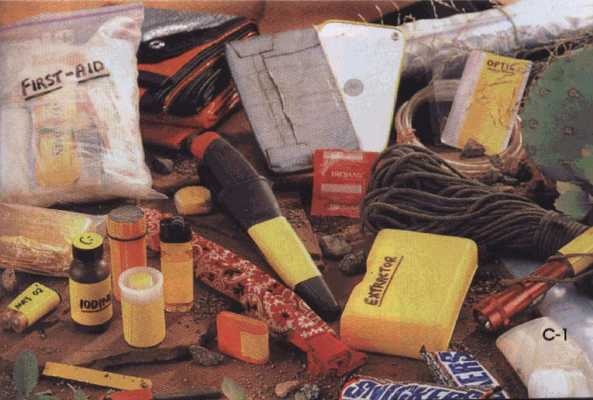 Иллюстрация к книге — 36,6 градусов. Искусство оставаться в живых! [p1803.jpg]