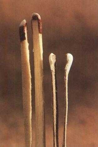 Иллюстрация к книге — 36,6 градусов. Искусство оставаться в живых! [p1808.jpg]