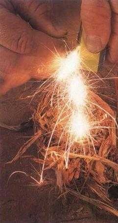 Иллюстрация к книге — 36,6 градусов. Искусство оставаться в живых! [p1821.jpg]