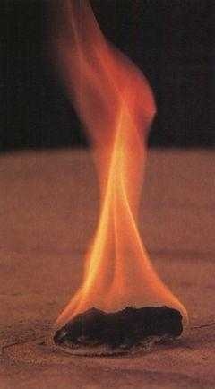 Иллюстрация к книге — 36,6 градусов. Искусство оставаться в живых! [p1824.jpg]