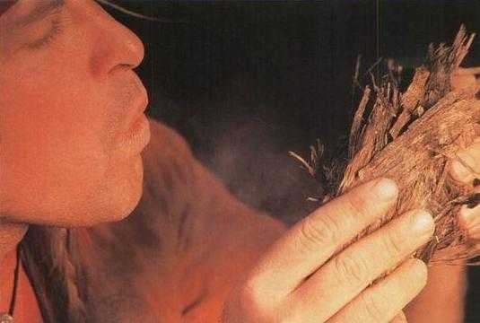 Иллюстрация к книге — 36,6 градусов. Искусство оставаться в живых! [p1825.jpg]