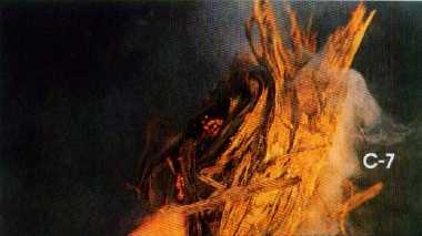 Иллюстрация к книге — 36,6 градусов. Искусство оставаться в живых! [p1826.jpg]