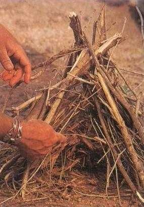 Иллюстрация к книге — 36,6 градусов. Искусство оставаться в живых! [pic1831.jpg]