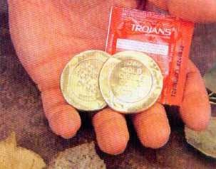 Иллюстрация к книге — 36,6 градусов. Искусство оставаться в живых! [pic1840.jpg]