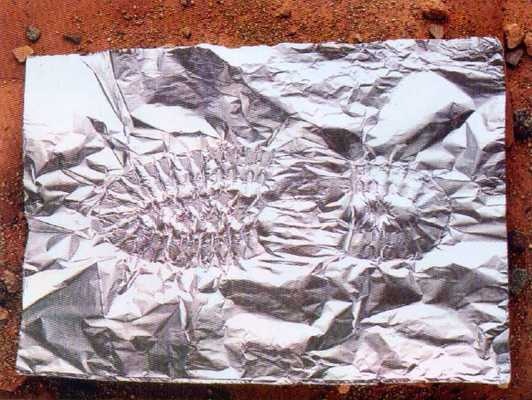 Иллюстрация к книге — 36,6 градусов. Искусство оставаться в живых! [pic1849.jpg]