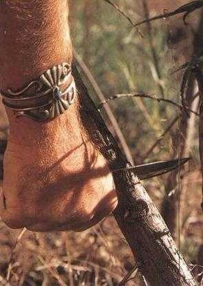 Иллюстрация к книге — 36,6 градусов. Искусство оставаться в живых! [pic1850.jpg]