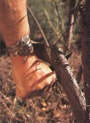 Иллюстрация к книге — 36,6 градусов. Искусство оставаться в живых! [pic1851.jpg]