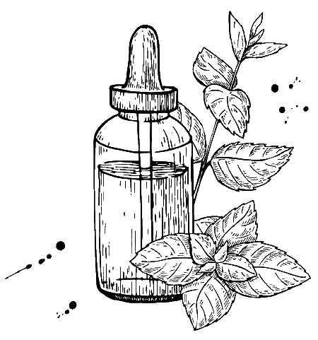 Иллюстрация к книге — Псевдонаука [i_054.jpg]