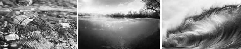 Иллюстрация к книге — Псевдонаука [i_062.jpg]