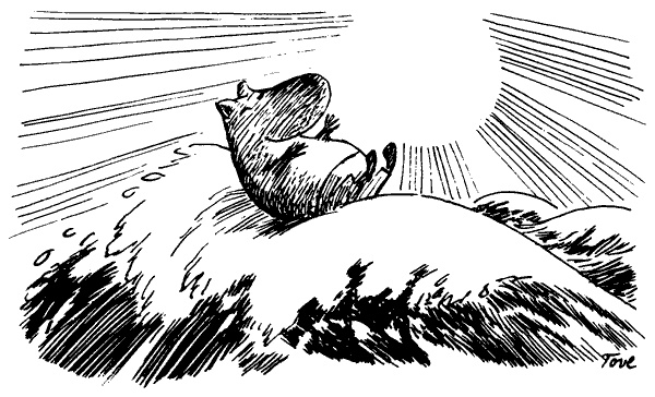 Иллюстрация к книге — Шляпа Волшебника [i_020.jpg]