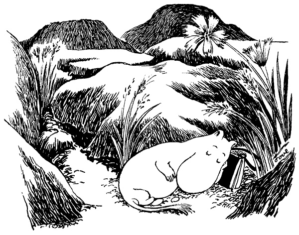 Иллюстрация к книге — Шляпа Волшебника [i_021.jpg]