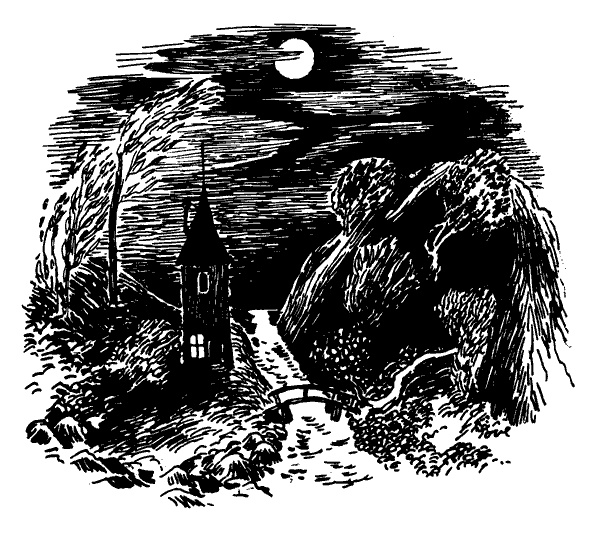 Иллюстрация к книге — Когда прилетит комета [i_013.jpg]