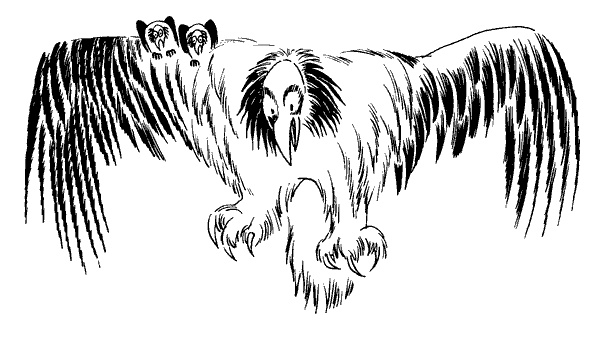 Иллюстрация к книге — Когда прилетит комета [i_031.jpg]