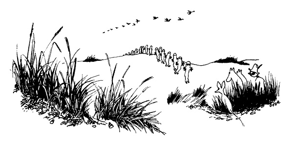 Иллюстрация к книге — Когда прилетит комета [i_051.jpg]