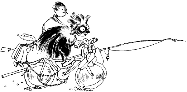 Иллюстрация к книге — Когда прилетит комета [i_060.jpg]