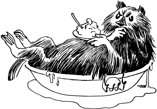 Иллюстрация к книге — Когда прилетит комета [i_075.jpg]