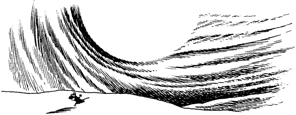 Иллюстрация к книге — Когда прилетит комета [i_077.jpg]