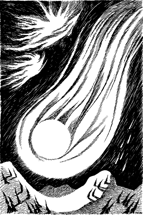 Иллюстрация к книге — Когда прилетит комета [i_079.jpg]