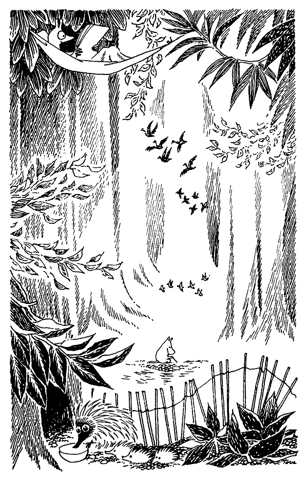 Иллюстрация к книге — Мемуары Муми-папы [i_010.jpg]