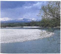 Иллюстрация к книге — Кельты. Первые европейцы [i_011.jpg]