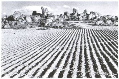 Иллюстрация к книге — Кельты. Первые европейцы [i_015.jpg]