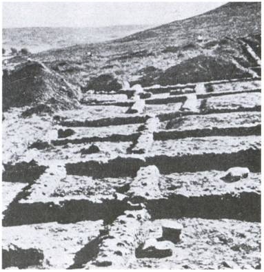 Иллюстрация к книге — Кельты. Первые европейцы [i_031.jpg]