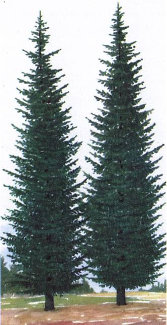 Иллюстрация к книге — Кельты. Первые европейцы [i_086.jpg]