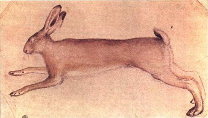 Иллюстрация к книге — Кельты. Первые европейцы [i_091.jpg]