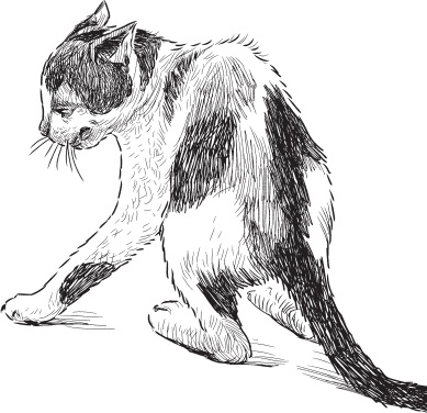 Иллюстрация к книге — В тайге (сборник). С вопросами и ответами для почемучек [_100.jpg]