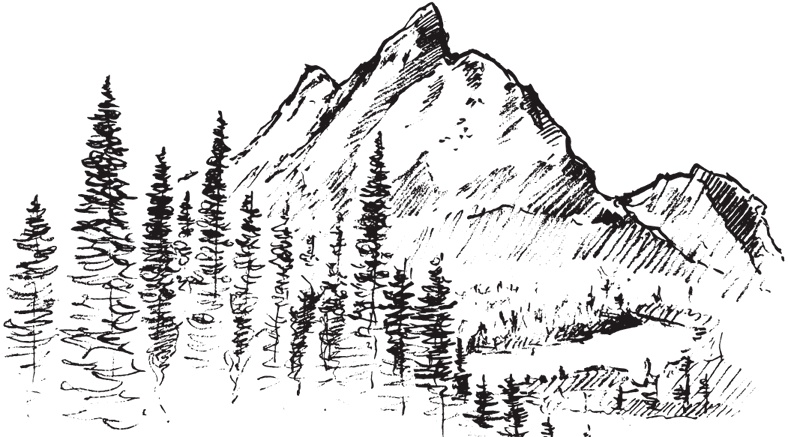 Иллюстрация к книге — В тайге (сборник). С вопросами и ответами для почемучек [_104.jpg]