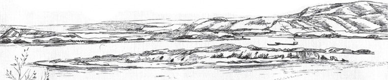 Иллюстрация к книге — В тайге (сборник). С вопросами и ответами для почемучек [_105.jpg]