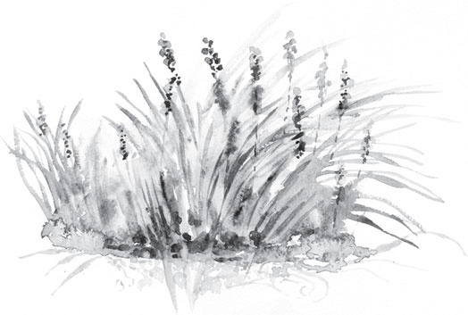 Иллюстрация к книге — В тайге (сборник). С вопросами и ответами для почемучек [_106.jpg]