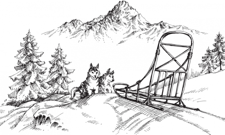 Иллюстрация к книге — В тайге (сборник). С вопросами и ответами для почемучек [_107.jpg]