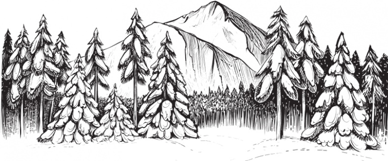 Иллюстрация к книге — В тайге (сборник). С вопросами и ответами для почемучек [_108.jpg]