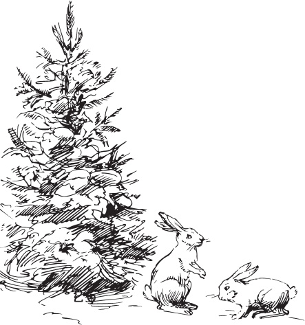 Иллюстрация к книге — В тайге (сборник). С вопросами и ответами для почемучек [_15.jpg]