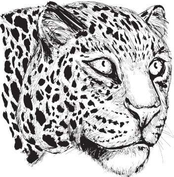 Иллюстрация к книге — В тайге (сборник). С вопросами и ответами для почемучек [_18.jpg]