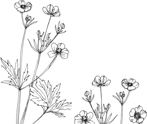 Иллюстрация к книге — В тайге (сборник). С вопросами и ответами для почемучек [_21.jpg]