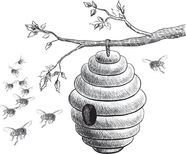 Иллюстрация к книге — В тайге (сборник). С вопросами и ответами для почемучек [_28.jpg]