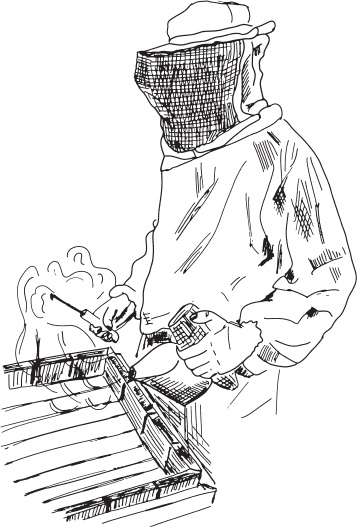 Иллюстрация к книге — В тайге (сборник). С вопросами и ответами для почемучек [_30.jpg]