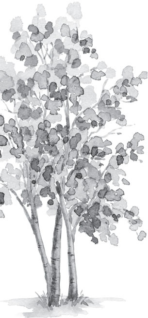 Иллюстрация к книге — В тайге (сборник). С вопросами и ответами для почемучек [_32.jpg]