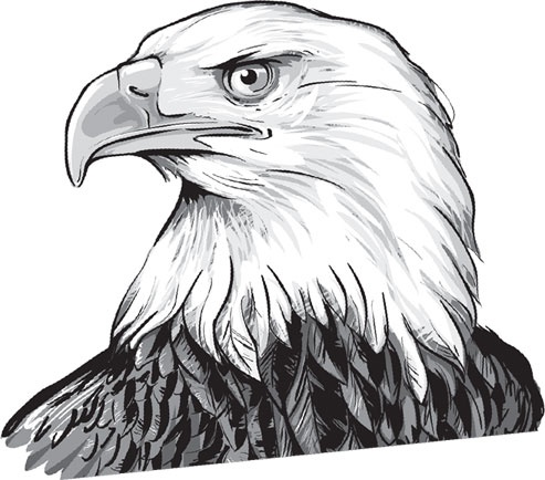 Иллюстрация к книге — В тайге (сборник). С вопросами и ответами для почемучек [_34.jpg]