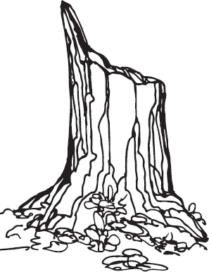 Иллюстрация к книге — В тайге (сборник). С вопросами и ответами для почемучек [_41.jpg]